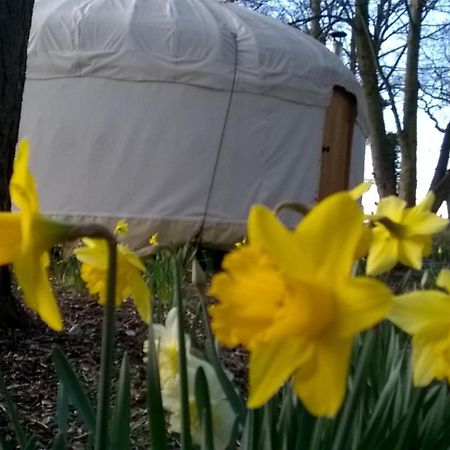 Gingerbread Cottage Yurts Dereham Extérieur photo