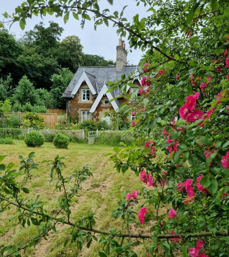 Gingerbread Cottage Yurts Dereham Extérieur photo