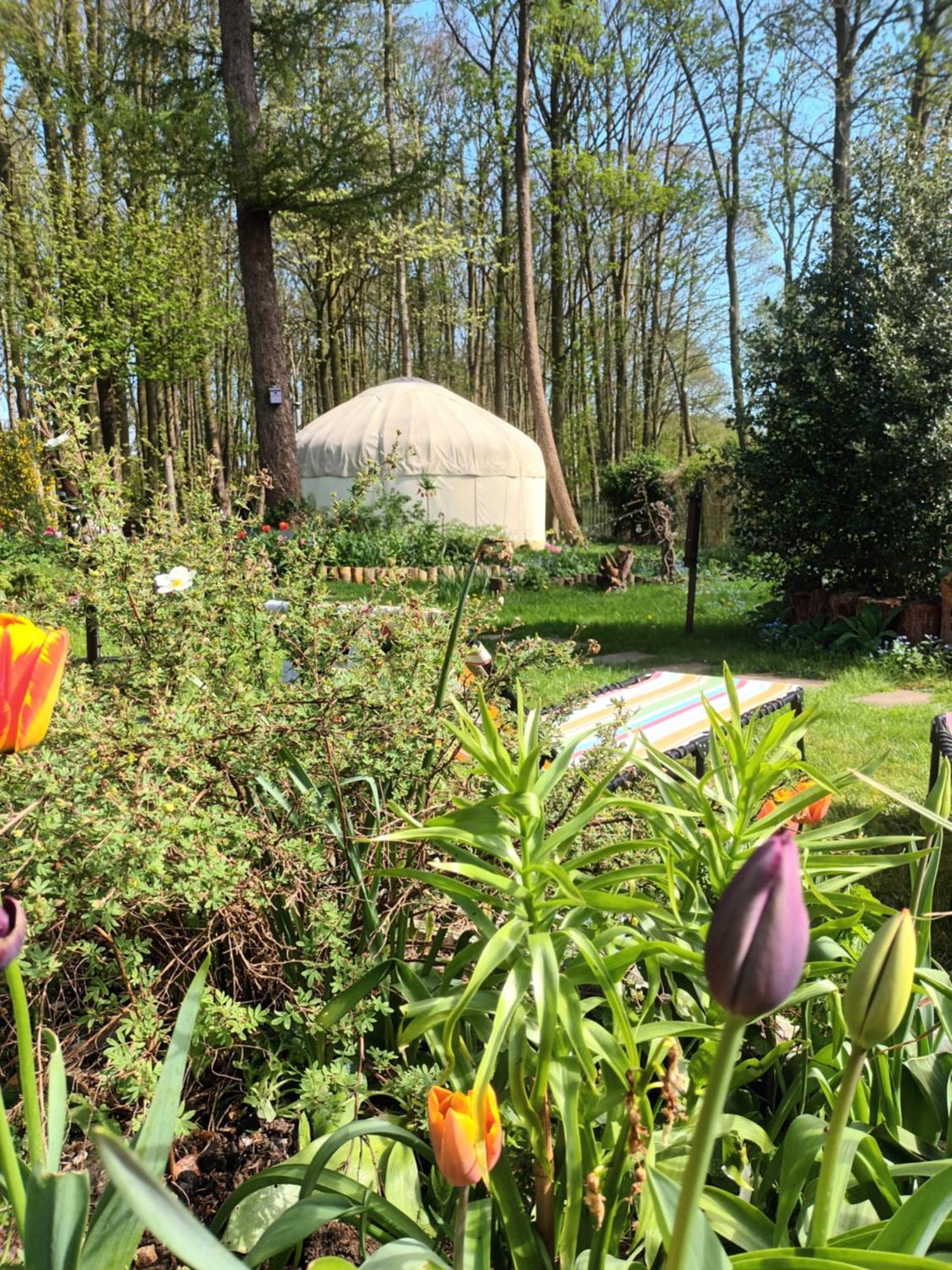 Gingerbread Cottage Yurts Dereham Extérieur photo
