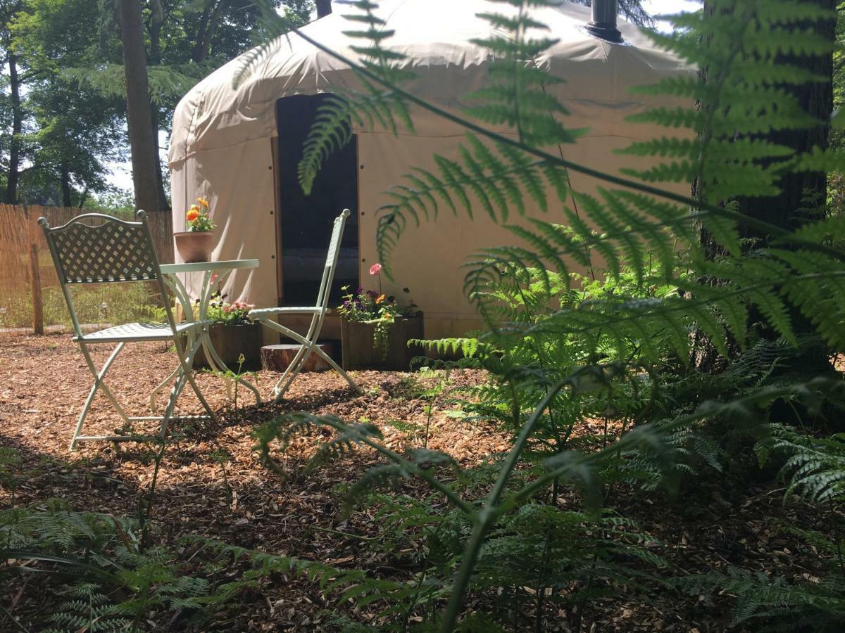 Gingerbread Cottage Yurts Dereham Extérieur photo