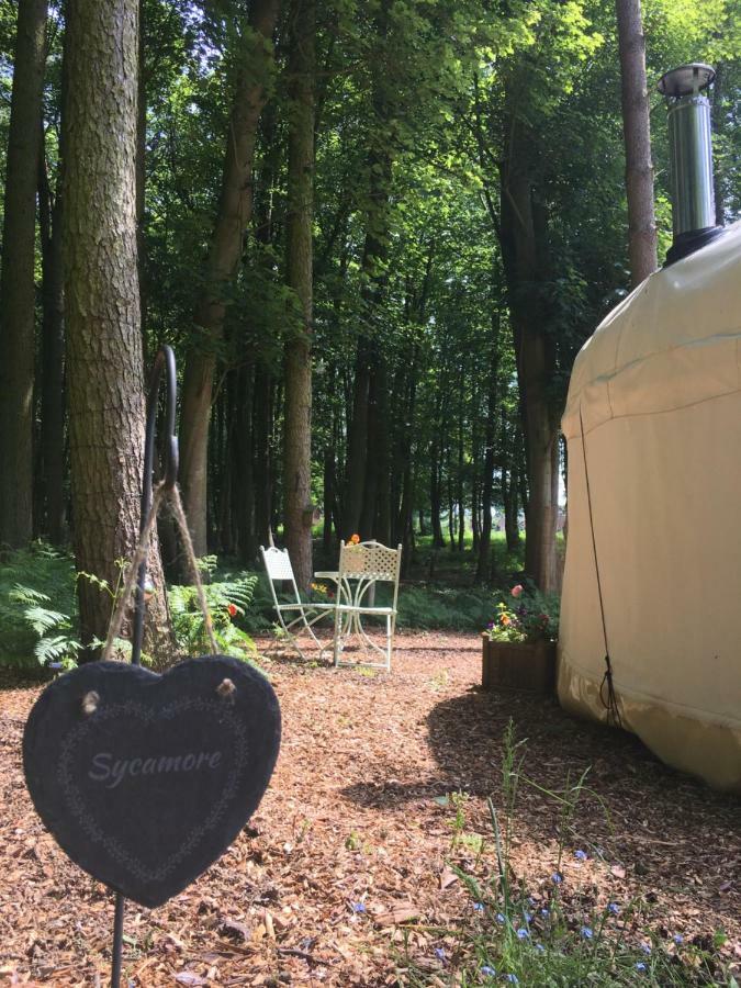 Gingerbread Cottage Yurts Dereham Extérieur photo