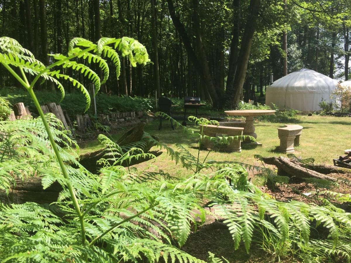 Gingerbread Cottage Yurts Dereham Extérieur photo