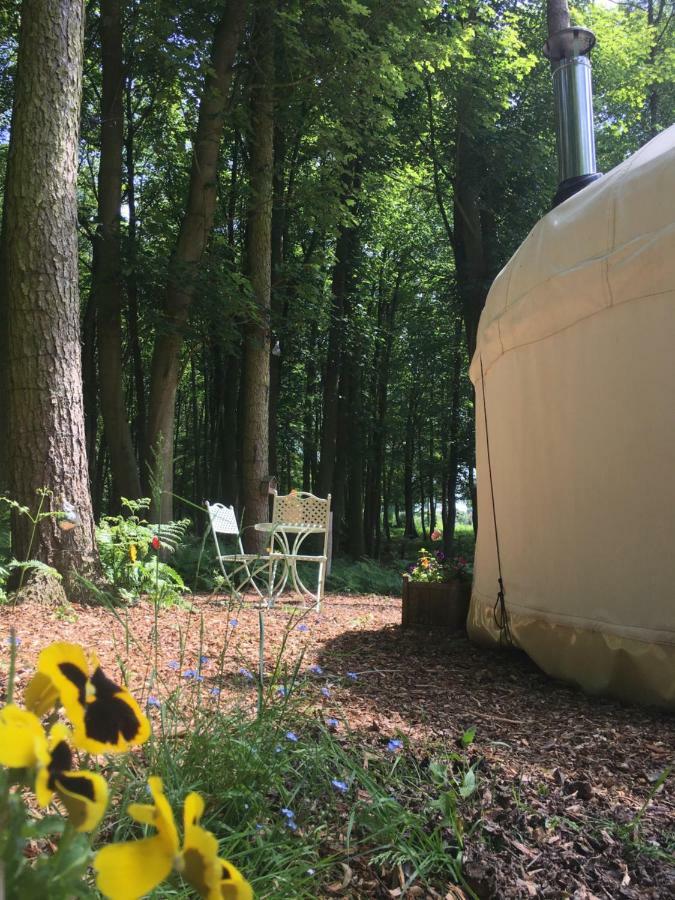 Gingerbread Cottage Yurts Dereham Extérieur photo